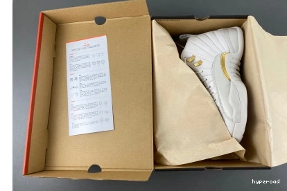 Hyperoad Air Jordan 12 
